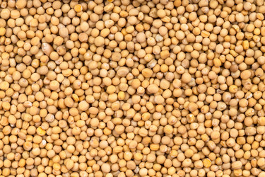 Similar image 21081248