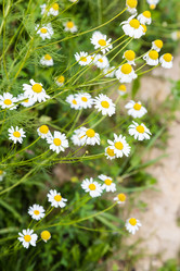 Similar image 21126022