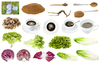 Similar image 21132719