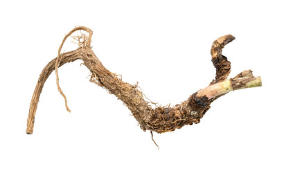 Similar image 21132759