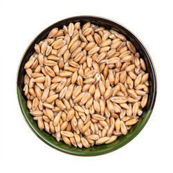 Similar image 21106057