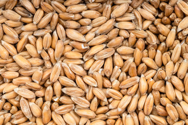 Similar image 21106060