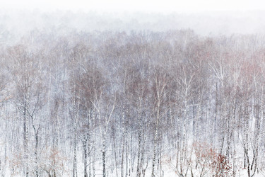 Similar image 21105697