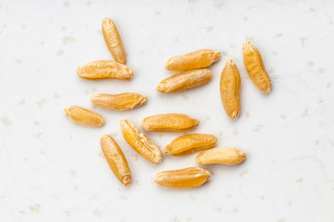 Similar image 21114259