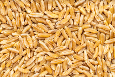 Similar image 21115044