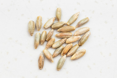 Similar image 21115381