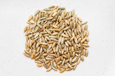 Similar image 21120908