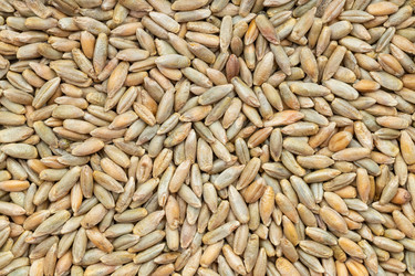 Similar image 21121266