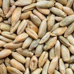 Similar image 21121327