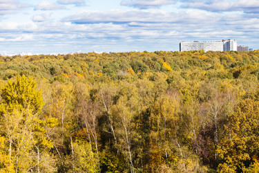 Similar image 21080154