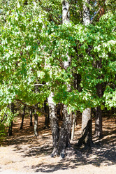 Similar image 21081253