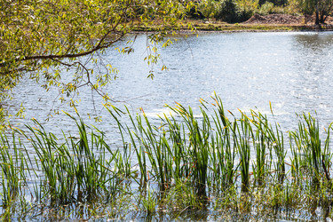 Similar image 21081256