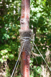 Similar image 21082495