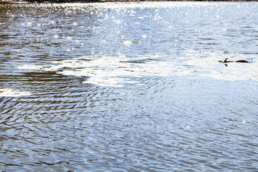 Similar image 21082759