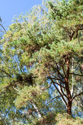 Similar image 21082764