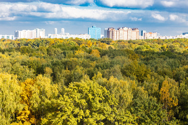 Similar image 21080272