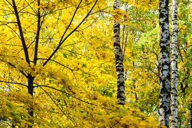 Similar image 21082767