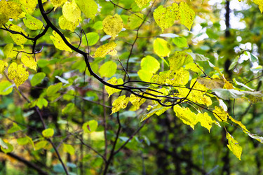 Similar image 21082770