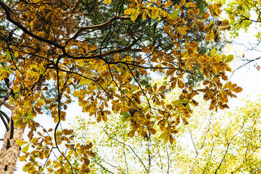 Similar image 21087031