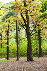 Similar image 21087414