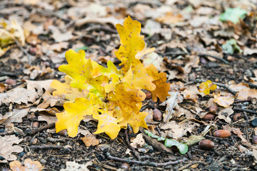 Similar image 21087416