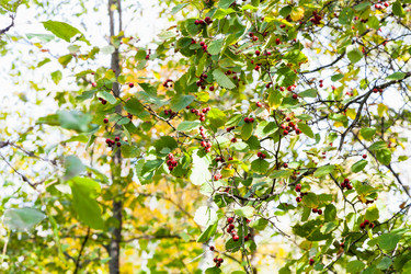 Similar image 21105891