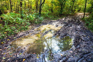 Similar image 21106074