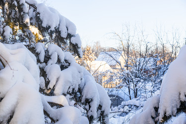 Similar image 21081264