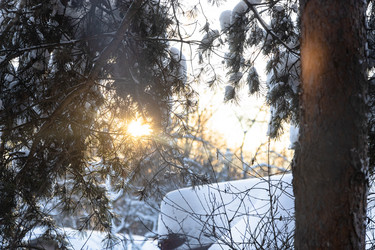 Similar image 21082897