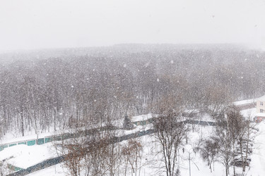 Similar image 21087422