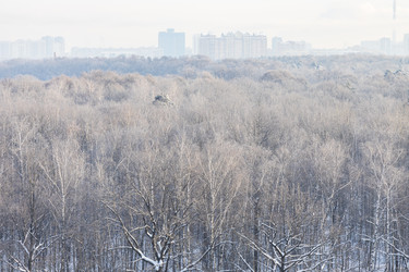 Similar image 21088145