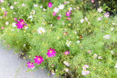 Similar image 21111963