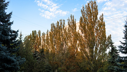 Similar image 21115061