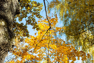 Similar image 21125784