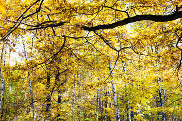 Similar image 21126040