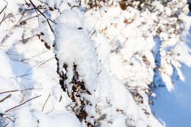 Similar image 21087424