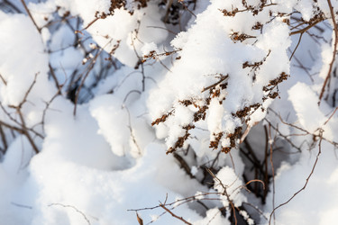 Similar image 21087426