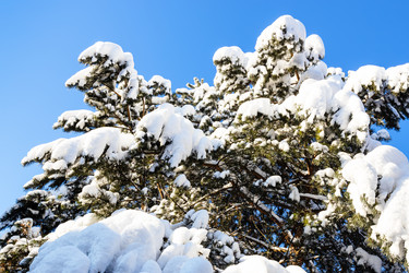 Similar image 21087427