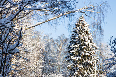 Similar image 21105712