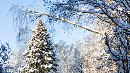 Similar image 21105713