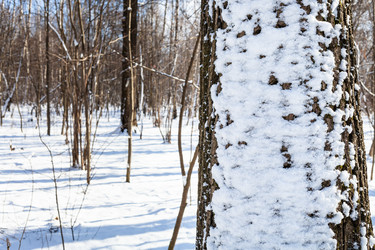 Similar image 21080009