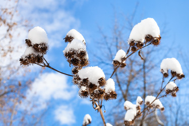 Similar image 21113871