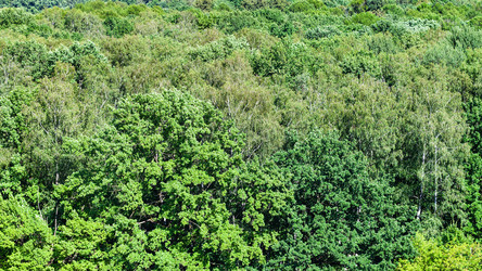 Similar image 21115065