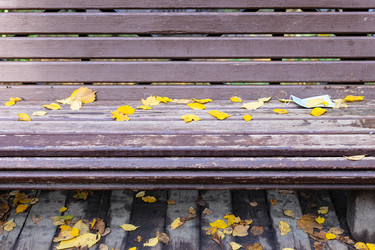 Similar image 21113880