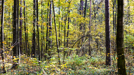 Similar image 21115072