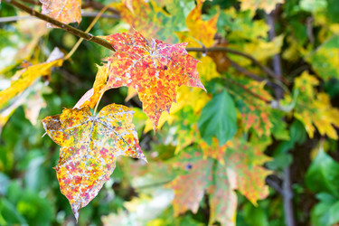 Similar image 21115397