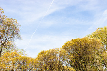 Similar image 21121336