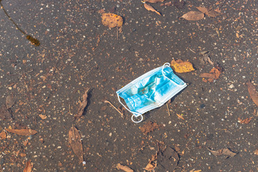 Similar image 21121500