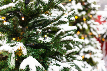 Similar image 21126054