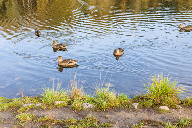 Similar image 21126060